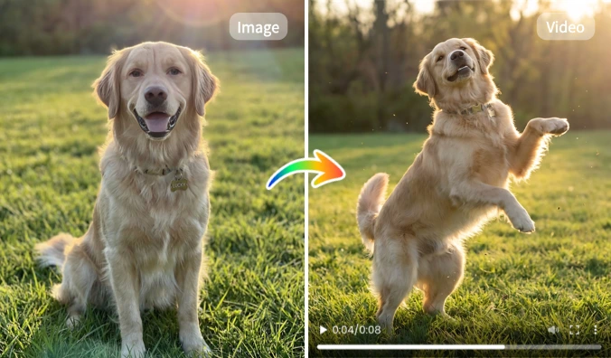 reference image: turning pet photos into AI dance videos [MindVideo AI]